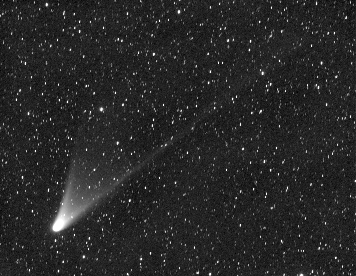 6 Surprising Facts About Comet Pan-STARRS in Night Sky
